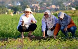 Mbak Ita Berharap Padi Biosalin Bisa Beri Kesejahteraan Masyarakat Pesisir