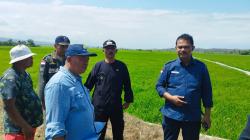 Dirjen Tanaman Pangan Kementan RI Tinjau Lahan Sawah di Wilayah Selatan Garut