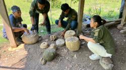 Tim SJGE Temukan Bebatuan Diduga Artefak di Gunung Sanggabuana Karawang