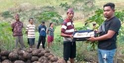 Fenomena Porang di NTT: Petani Kaya Raya, Pembeli Datang Langsung dengan Koper Isi Uang Miliaran