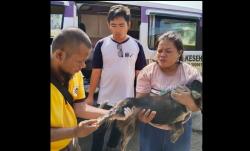 30 Anjing di Cilegon Diambil Sampel Darahnya, Cegah Ancaman Rabies di Kota Baja