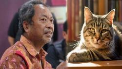 Dinkes Jateng Tanggapi Bapak Kos Viral Pemakan Kucing, Dagingnya Tak Sembuhkan Diabetes