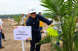 Target 60.000 Hektare Peremajaan ,Begini Cara PalmCo Gandeng Semua Petani Sawit 