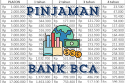 Simulasi KUR BCA 2024: Pinjaman Rp 20 Juta, Syarat, dan Cara Daftar Online, Solusi Modal Usaha