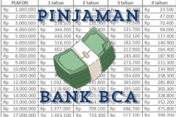 Tabel Angsuran KUR BCA Terbaru Pinjaman Rp 25 Juta: Cara Mudah Ajukan KUR BCA Tanpa Agunan 2024