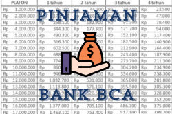 Solusi Cepat Dana Mendesak: Pinjaman Online BCA Rp10 Juta Cair dalam 5 Menit!