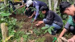 Kembalikan Fungsi Hutan, Aktivis Lingkungan di Tasikmalaya Tanam 1000 Pohon Dibekas Galian Pasir