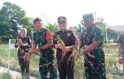 Libatkan Masyarakat, Kajari Depok Sebut Urban Farming Inisiatif Kodim Bisa Kurangi Kriminalitas