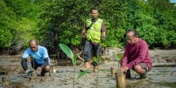 Harita Nickel Raih Dua Penghargaan Bergengsi atas Inovasi CSR di Pulau Obi 