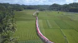 Liukan Bendera Merah Putih Sepanjang 1000 Meter, di Bumi Selasari