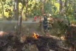 Kebakaran Hutan dan Lahan Mulai Mengancam, Kebun Jati di Banjaranyar Ciamis Diamuk si Jago Merah