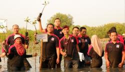 Jelang Ulang Tahun ke-17, Alfamidi Gelar Penanaman Mangrove dan Serahkan Gerobak UMKM di Surabaya