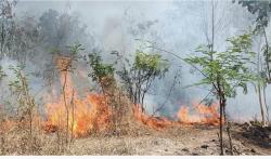 Panik, Kebakaran Lahan Dekat Pemukiman di Desa Egon Buluk Sikka NTT