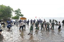 Pj Gubernur Sulbar, Forkopimda, dan Masyarakat Tanam 20 Ribu Mangrove di Pantai Ampallas