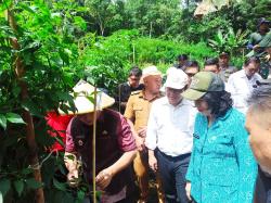 KPw BI Sulut Apresiasi Panen Cabai Keriting Petani Binaan Pemkab Minahasa