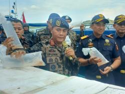 Bea Cukai Gagalkan Penyelundupan Benih Lobster Senilai Rp 90 Miliar di Batam