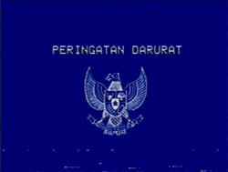 Makna di Balik Peringatan Darurat Garuda Biru dan Kaitannya dalam Mengawal Putusan MK