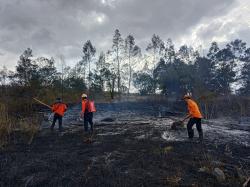 Dua Hektare Padang Savana Kawah Wurung Bondowoso Terbakar