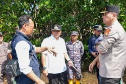 Menyambut Hari Jadi Sulbar ke-20, Masyarakat Diimbau Sepekan Menanam Mangrove