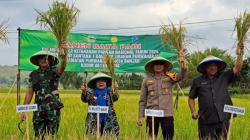 Kodim 0613 Ciamis Ajak Generasi Muda di Kota Banjar Terlibat Pertanian untuk Jaga Ketahanan Pangan