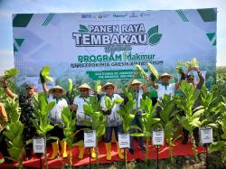 Kolaborasi PT Petrokimia Gresik dan PT Djarum Tingkatkan Produktivitas Tembakau di Grobogan