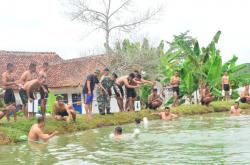 Asah Kemampuan, Prajurit Yonif 9 Marinir Laksanakan Renang Jarak 1 KM