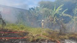 Diduga Akibat Buang Puntung Rokok Sembarangan, Lahan Kering di Limbangan Garut Terbakar