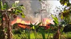 Kandang Terbakar, Ribuan Ayam Siap Panen Mati Terpanggang di Boyolali