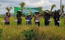 Petani di Kota Banjar Tidak Mau Bayar Pajak, Ini Alasannya