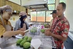 Polije Gelar Pelatihan Penanganan Pasca Panen Buah Mangga Kepada Petani di Wuluhan Jember