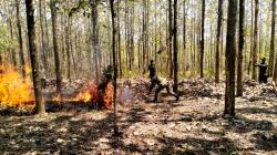 TNI, Polri dan Masyarakat Gelar Apel Siaga pencegahan dan penanganan Karhutla di Boyolali