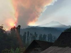 Hutan Gunung Argopuro Terbakar, Masuk Wilayah Administrasi Probolinggo