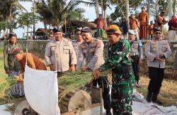 Polres Kulonprogo Sulap Lahan Kritis Jadi Produktif, Hasilkan Padi 6,27 Ton per Hektare