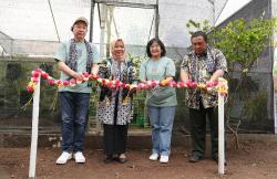 Cegah dari Kepunahan, 18 Anggrek Merapi Dilestarikan