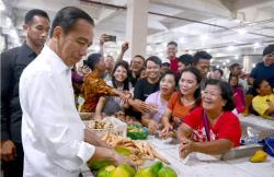 Jokowi Ungkap Aktivitas Selama 40 Hari Ngantor di IKN, Ada Groundbreaking Sejumlah Proyek