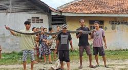 Heboh, Ular Piton 3 Meter Masuk Rumah di Lebak, Bikin Panik Warga