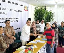 Lonsum Beri Bantuan Bibit Kelapa Sawit di Langkat