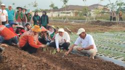 Gandeng BRIN, Mbak Ita Tanam Bawang Merah Lokananta Bisa Panen 20 Ton per Ha