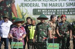 Kasad Jenderal TNI Maruli Simanjuntak Tanam Jagung Perdana di Minahasa Utara