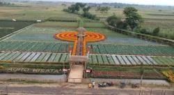 Gerbas Tani Kedungrejo, Belanja Sayur Langsung dari Lahan