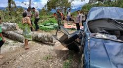 Sekeluarga Tertimpa Pohon Besar saat Liburan di Kebun Durian, 3 Tewas 2 Selamat