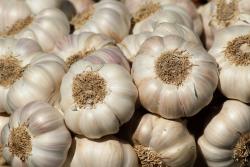 Harga Bawang Putih di Tulungagung Stabil di Rp34.000 per Kilogram