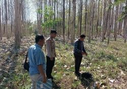 Bayi Perempuan Ditemukan di Pinggir Hutan Tambakselo Wirosari, Diduga Dibuang