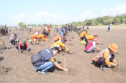 HUT TNI ke-79, Kodim 0625/Pangandaran Gelar Aksi Bersih-bersih Pantai dan Penanaman Sejuta Mangrove