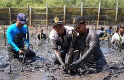 Cegah Abrasi, Stimaryo Tanam 1.500 Mangrove di Laguna Pengklik Bantul