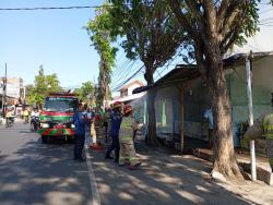 Diduga Konsleting Listrik, Warung Nasi di Probolinggo Ludes Terbakar