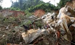 Korban Longsor Tambang Emas Ilegal di Solok, Bertambah