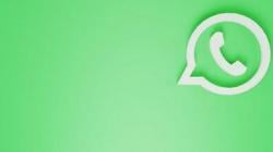 Foto Profil WhatsApp Blur? Ini 5 Cara Mengatasi