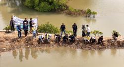 Atasi Krisis Iklim dan Dorong Ekonomi Pesisir, DAHANA Tanam Mangrove dan Kelapa di Legonkulon