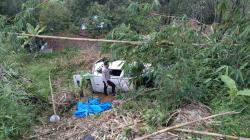 Minibus Terjun ke Jurang Sedalam 10 Meter di Tasikmalaya, Satu Orang Luka Ringan